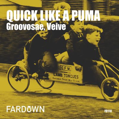 Groovosae-Veive-Quick-Like-A-Puma
